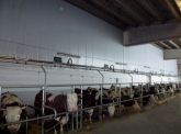 Telo in PVC per chiusura stalla. Anno 2014
